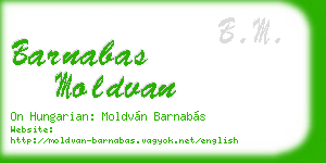 barnabas moldvan business card