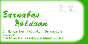 barnabas moldvan business card